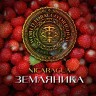 Табак WTO - Nicaragua (Земляника) N03 20 гр